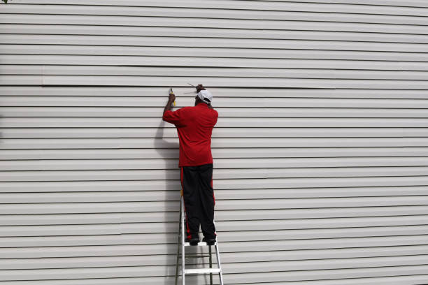 Best Insulated Siding Installation  in North Corbin, KY